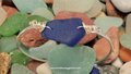 Seaglass Bangle Bracelet ~ Cobalt Blue from ARUBA